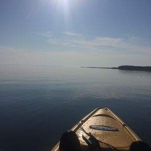 Meet your Posher, Bonnie